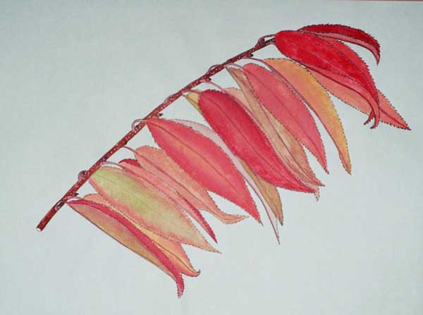 watercolor illustration of cherry leaves in autumn
